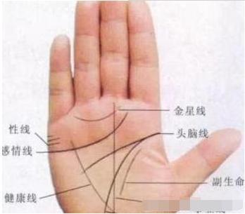 标准的"手握财库,富得流油"的手相
