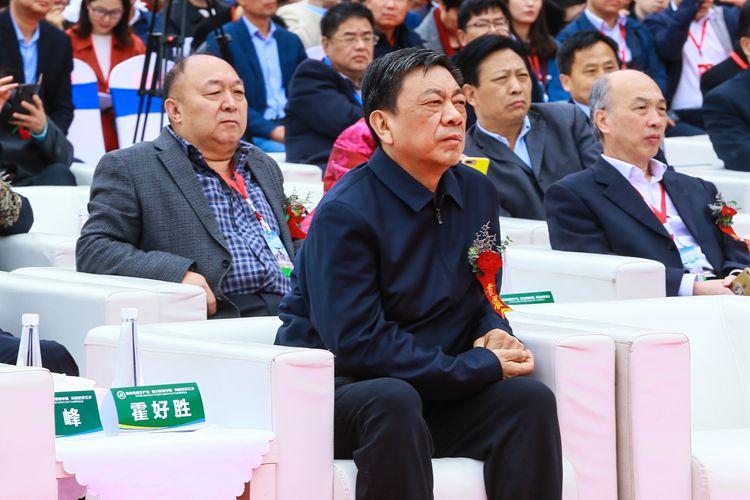 南阳市市长霍好胜