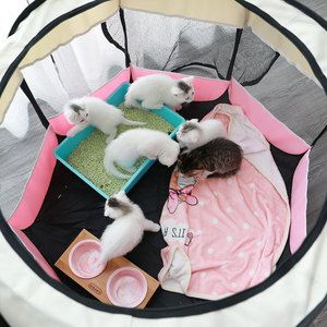 猫咪怀孕产房狗狗产床封闭式幼崽窝帐篷产箱小奶猫窝宠物繁殖室内