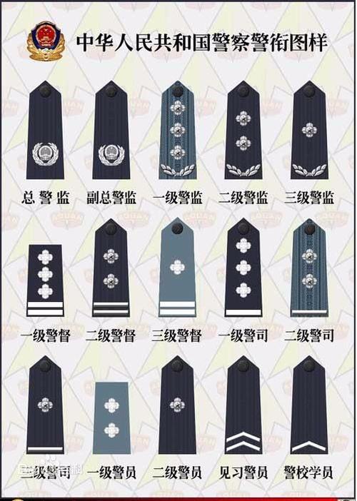 (局)级副职为二级警监至三级警监; 处(局)级正职为三级警监至二级警督