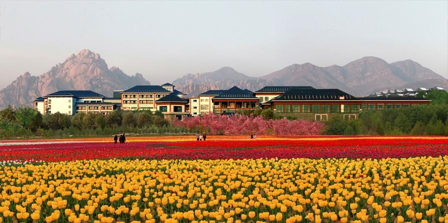 驻马店嵖岈山温泉小镇 百花秋韵文化园将开放