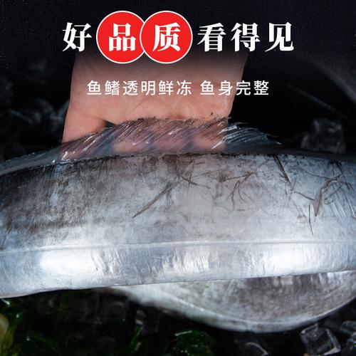 海捕带鱼c1 渤海湾刀鱼 12条 冷冻水产 大连特产海鲜 整条10斤 - 爱购