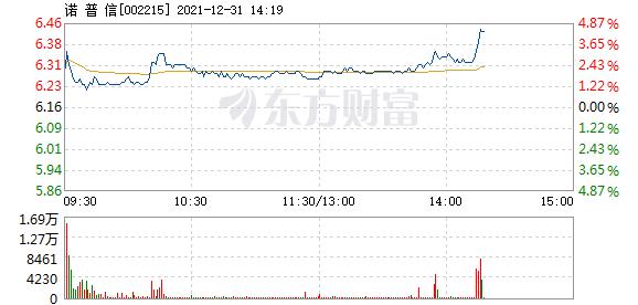 诺普信12月31日快速上涨