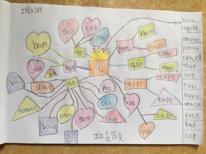 a公主的思维导图(英语)