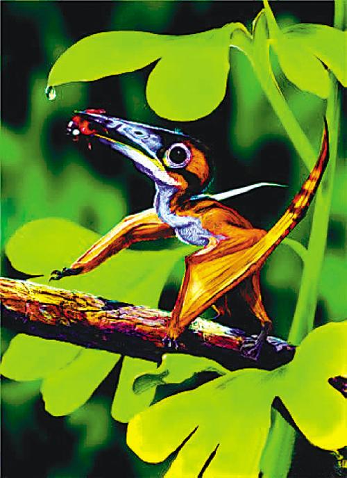 2008年2月13日 上图:森林翼龙复原图.