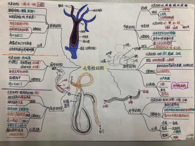 生命的咏叹——八年级生物思维导图展