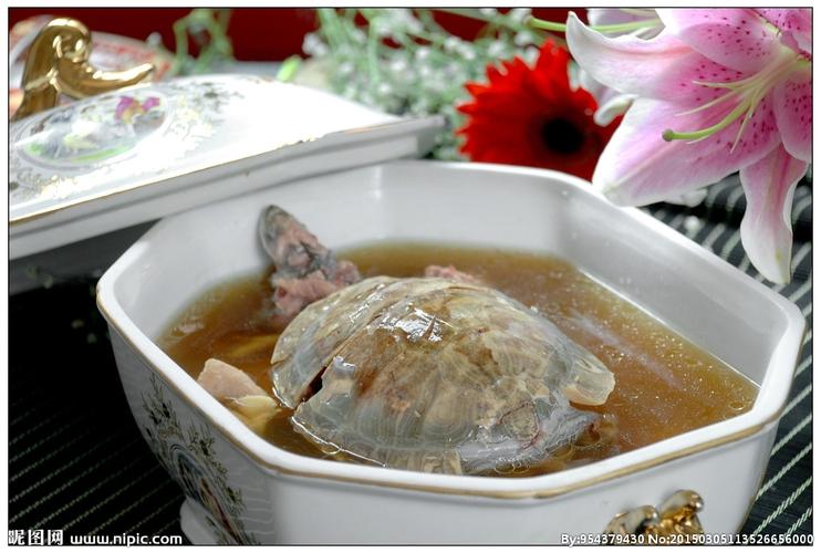 土茯苓煲龟图片