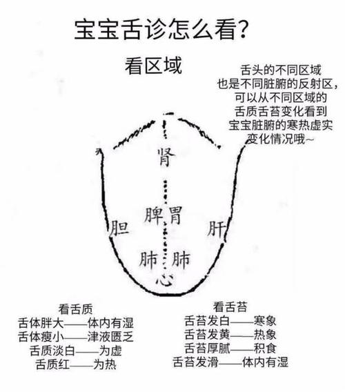 小儿积食舌苔图片
