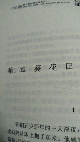 《青铜葵花》第二章:葵花田