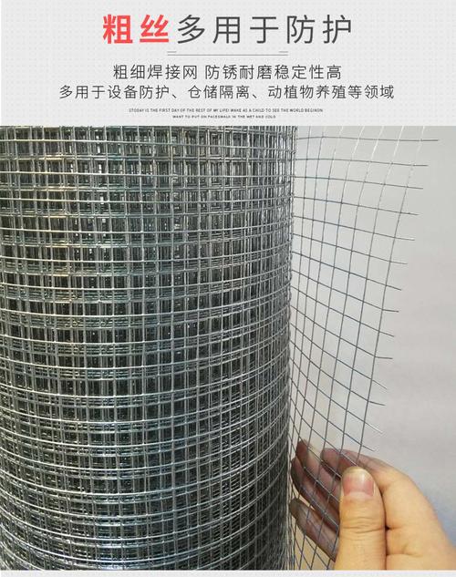 抹灰粉墙电焊网 镀锌钢丝网 批墙铁丝网 热镀锌电焊网浸塑电焊网