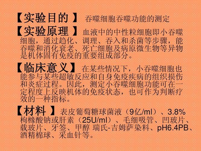 小吞噬实验ppt