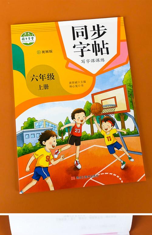 人教版六年级上册练字帖写字课课练六年级上下册语文字帖萌牛学堂视频