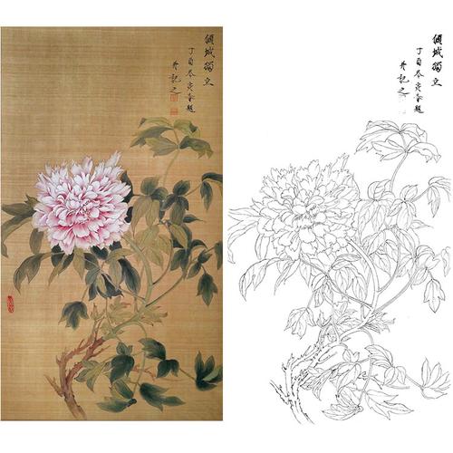 工笔画白描底稿牡丹楚彦春复古风花鸟勾线实物国画