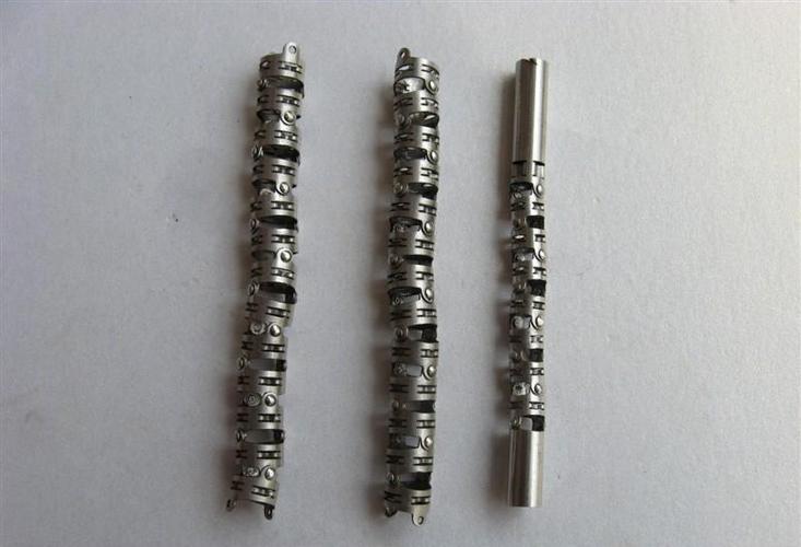 四方向内窥镜蛇骨