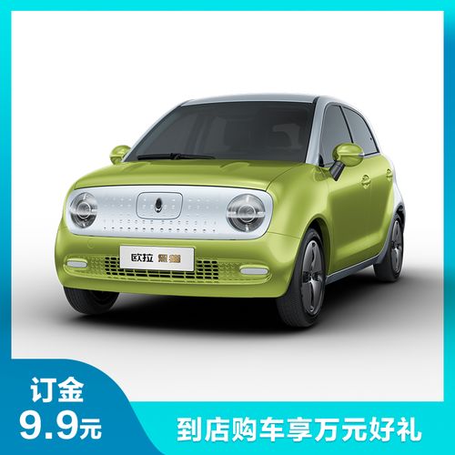 【订金】欧拉黑猫 301km 到店购车享万元礼 参数