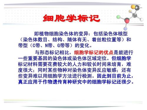 生物技术在作物育种中的利用-分子标记辅助选择育种ppt