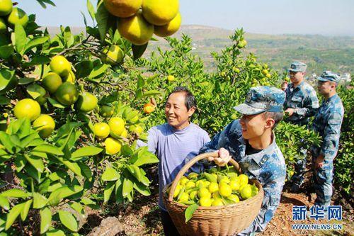 10月17日,中部战区空军驻宛某部的官兵在帮助河南内乡县大桥乡杨沟村