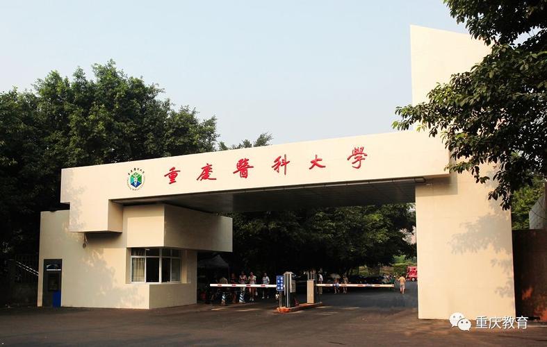 招办主任来帮忙④丨重庆医科大学招生办公室副主任颜黎访谈