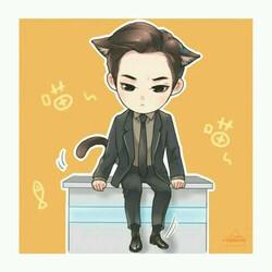 张若昀 法医秦明