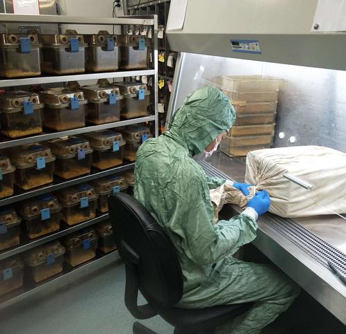 中国科学院生物物理研究所