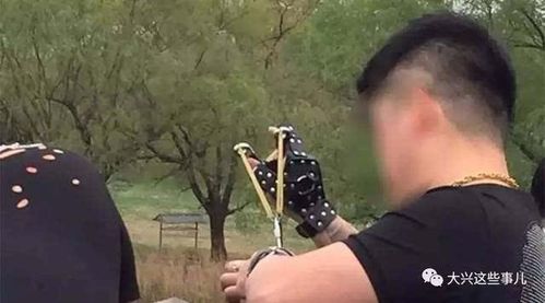 《春色中的南海子 现弹弓杀鱼鸭…》 戳 图片或回复 20170408 打开