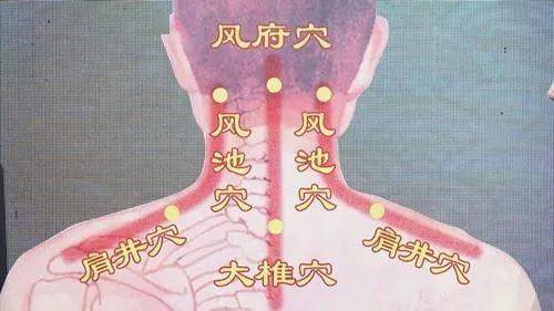 肩颈疾病危害大,教你怎么治!| 南京芳疗学校_部位