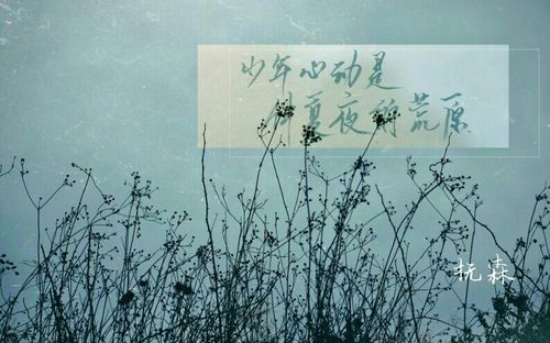 多多洛 的喜欢
