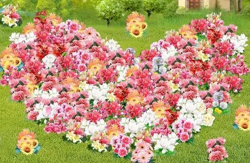 qq玫瑰花园同样的花摆出来形状不一样,为什么?
