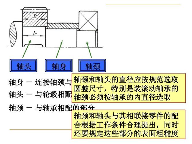 轴头 轴身 轴颈 轴颈和轴头的直径应按规范选取 轴身   连接轴颈与