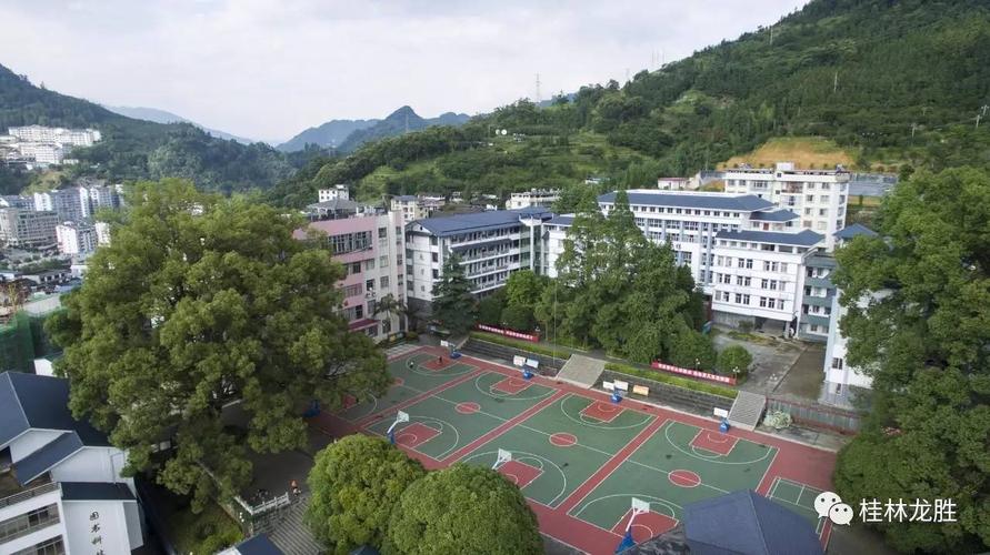 龙胜中学2017年高考喜报