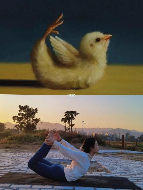 超可爱瑜伽小鸡,谁拍谁好看_瑜伽_冬天去哪玩_小鸡瑜伽体式_健身减肥