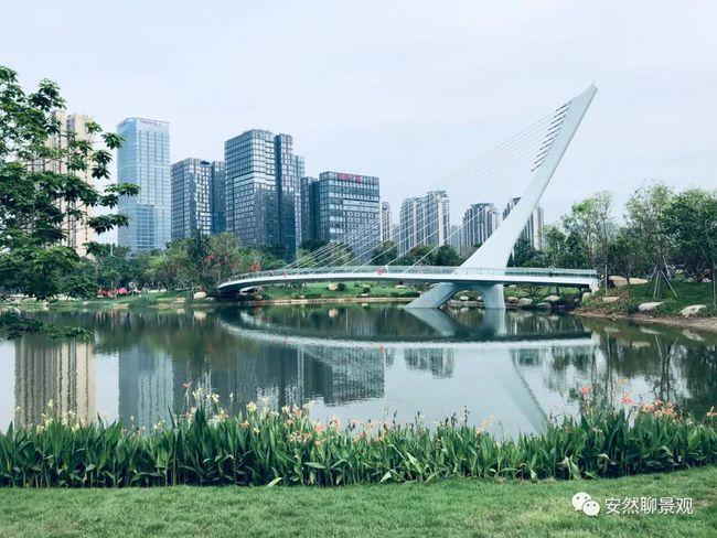 大v推荐福州公园一瞥打卡晋安湖公园一期