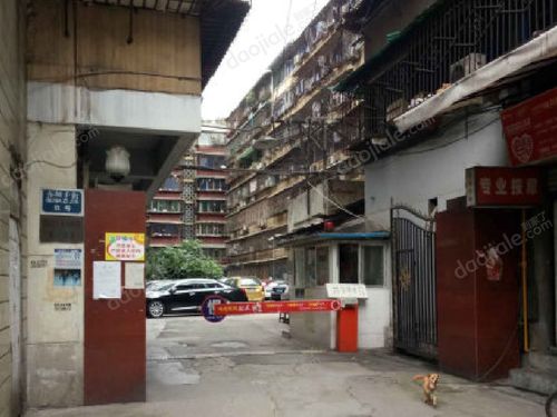 成华区猛追湾布坝子街9号小区实景图-3