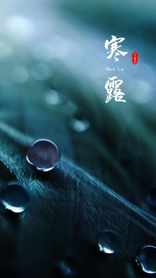 二十四时节寒露清新配图 (1/1)