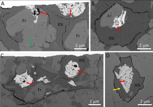 exceptionally preserved fossilized remains of 1 billion-year-old