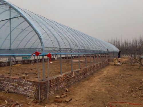 南开区椭圆管连栋大棚造价