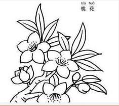 怎么画桃花(铅笔画)简笔画图片