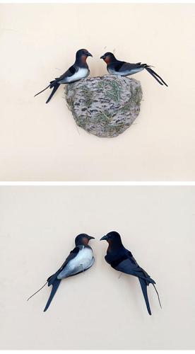 燕子的燕巢形状简笔画