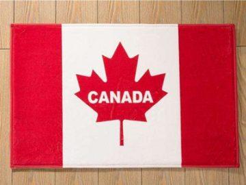 加拿大国旗和枫叶的不解之缘