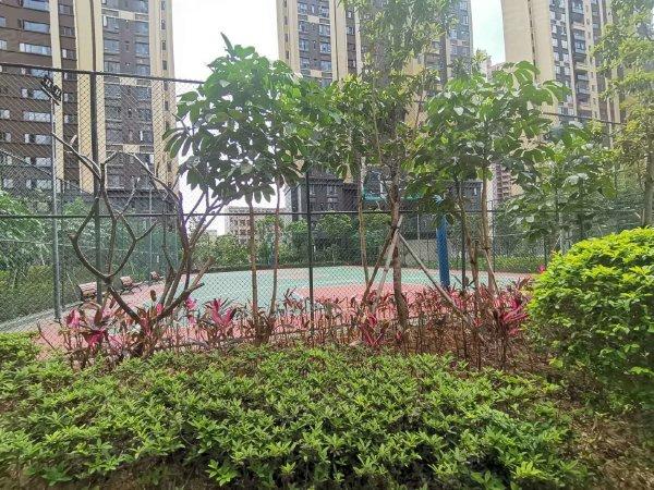 深圳安居客>深圳租房>坪山租房>坪山租房>澜湾花园>澜湾花园租房>600