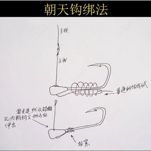 聪明的钓鱼人,别样的朝天钩