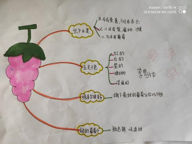 《葡萄沟》思维导图