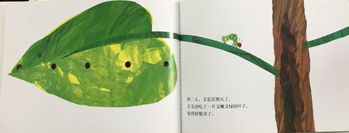 绘本讲师训练营76期921实践原创好饿的毛毛虫绘本小白修炼记