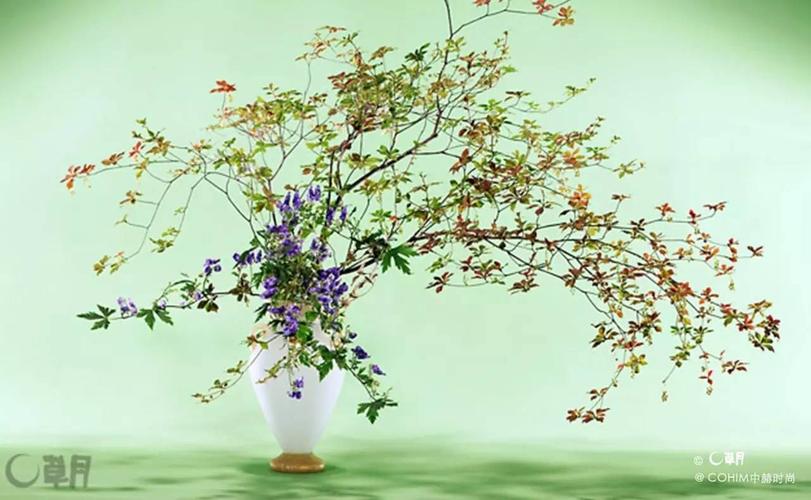 日本传统花道vs现代商业花艺,不就是相互亏欠才够吗?