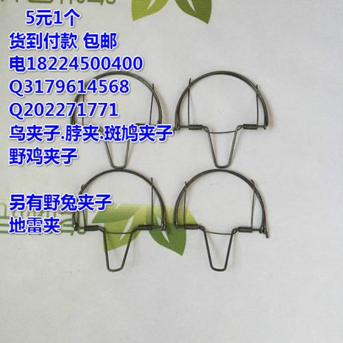 货到付款捕鸟夹子夹住鸟的图片野鸡夹子是整样安装的斑鸠脖夹尺寸图片