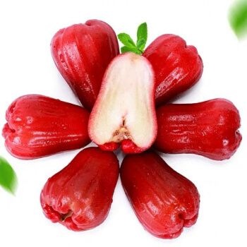 【精选直发】泰国黑金刚莲雾5斤热带进口水果精选莲雾果1斤 5斤(推荐