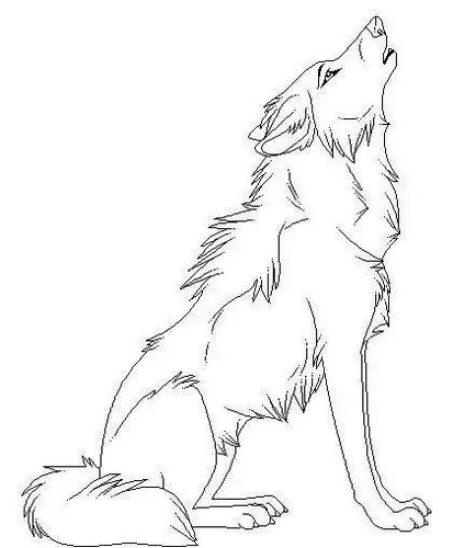 绘画素材-狼的一些画法