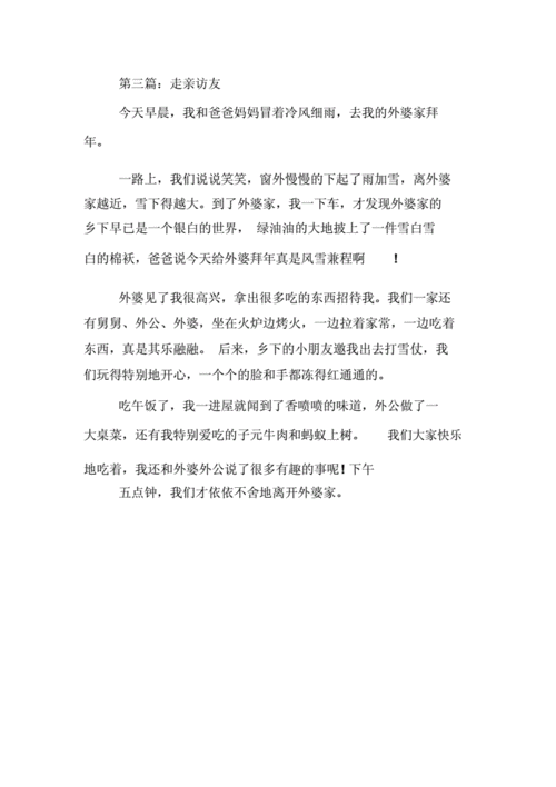走亲访友作文300字.doc 3页