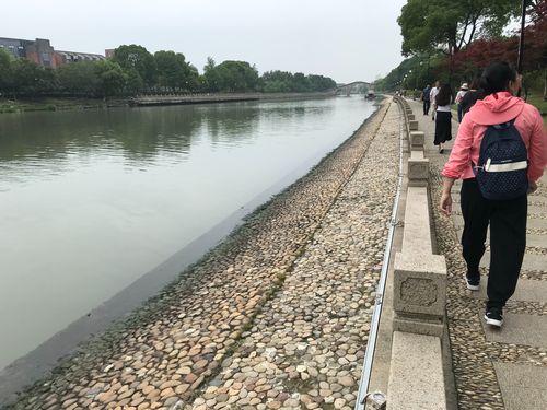 卵石驳岸
