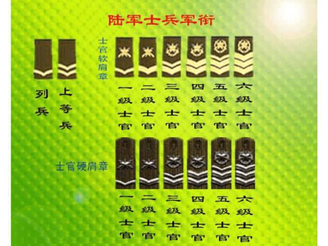 中国87式军衔武警衔图片示例pdf11页